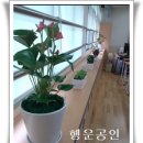 신천중학교(내) 이미지