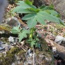 방글농장 이미지