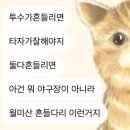 나00
