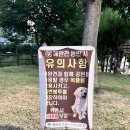각산비나리공원 이미지
