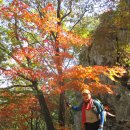 용문사 일주문 이미지