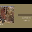 조가비 Daum카페