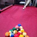 초이스 당구장 이미지