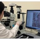 씨엔메디칼 이미지