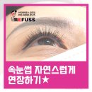 비치앤레푸스 이미지