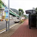 용원 교차로 Daum카페