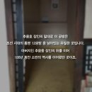 강원특별자치도청 공무직 노동조합 | 손혜원의원 허점투성이 검찰수사결과, 쟁점을 짚어봤습니다 [목포MBC 낭만항구]