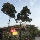 연화분식 이미지