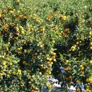 태수농장2 이미지