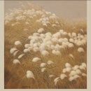 제주의사계 이미지