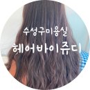 수성구미용실 뿌리염색추천 헤어바이쥬디