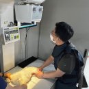 고성동물병원 이미지