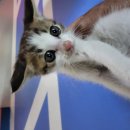 평택비전푸르지오 110동 앞 이미지