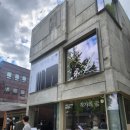 자기 삶의 주인이 되는 책 읽기 | 시골의사 박경철의 자기혁명_삶의 주인이 되는 방법 | 브런치 독서 챌린지