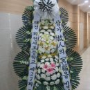 정종만 이미지