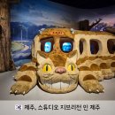 인제주 | 제주 동화마을 스튜디오 지브리전 인 제주 볼거리 꿀팁 후기