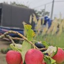 에스포트(주)