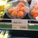 토마스앤레지나 | 10/6-10/12 주간 일기