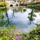 황지연못 이미지