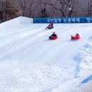 국민힐링파크 눈썰매장 네이버블로그