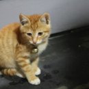 남양산충전소 이미지