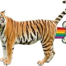 중화짬뽕 이미지