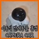 반려동물 이동서비스 | 반려동물 이동식 펫캠 카메라 카 홈캠 사용 후기 [CAMERA CAR]