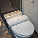 삼성바이오부속의원 | 수서 삼성아파트 양변기 교체 | 화장실 악취와 누수의...배관이 엉망? (대림바스 CC-740 국산 시공 후기)