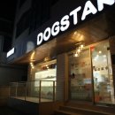 도그스타 이미지