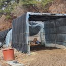 새마을로5길-3 이미지