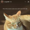 치쥬 성북천점