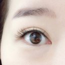 블랙스완래쉬 이미지