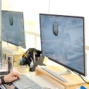 하이엔드 치과기공소 이미지