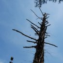 달빛고운 월성캠핑장 이미지