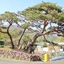 하조 산달뱅이 마을 이미지