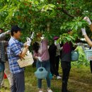 입실2리 이미지