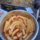 도서관 V-log 만들기 | 캠핑퍼스트 행사캠 할로윈캠핑 잭커리 파워캠프 시즌 2 후기