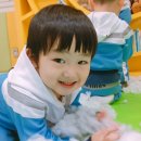 꽃이피었습니다 이미지