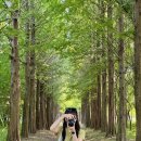 낙원목장 | [2025.05.28] 예산, 당진 당일치기 여행-2 | 아그로랜드 태신목장