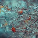 행복 빛으로부터 이미지