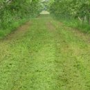 장현농장 이미지