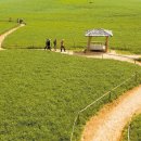 서해안농장 이미지