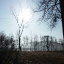 화천산소길 이미지