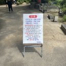 어화천 | 남양주 | 서울 근교 남양주에 있는 캠핑 느낌 셀프바베큐장 어화천 방문후기