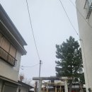 유미양행