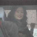 중앙대학교 예술대학원 문예창작 전문가 과정반 영월 문학기행 일정표 이미지