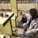 토아빈