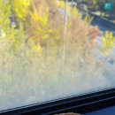 세린작은도서관 이미지