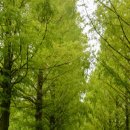 용지호수공원 이미지