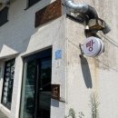 RNR | 제주 오픈런 빵집 🥖 rnr(알앤알) 후기 / 주차 방법 🅿️